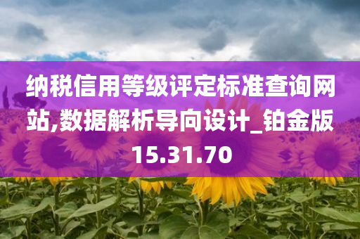 纳税信用等级评定标准查询网站,数据解析导向设计_铂金版15.31.70