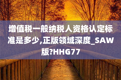 增值税一般纳税人资格认定标准是多少,正版领域深度_SAW版?HHG77