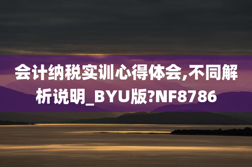 会计纳税实训心得体会,不同解析说明_BYU版?NF8786