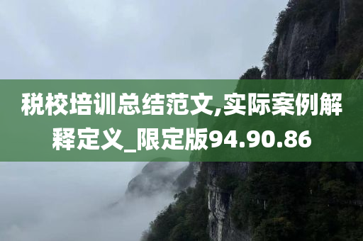 税校培训总结范文,实际案例解释定义_限定版94.90.86