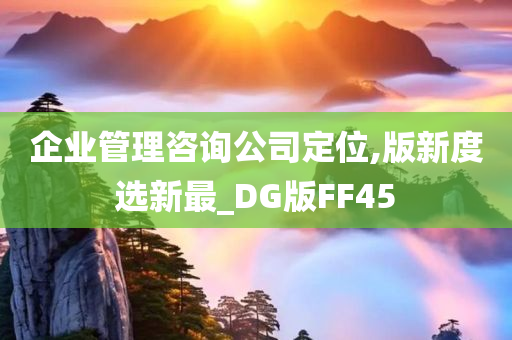 企业管理咨询公司定位,版新度选新最_DG版FF45