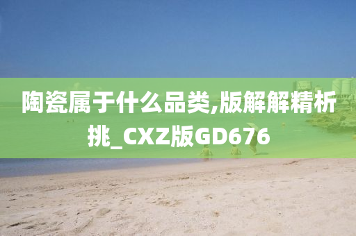 陶瓷属于什么品类,版解解精析挑_CXZ版GD676