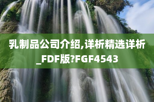 乳制品公司介绍,详析精选详析_FDF版?FGF4543