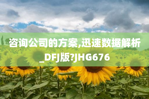 咨询公司的方案,迅速数据解析_DFJ版?JHG676