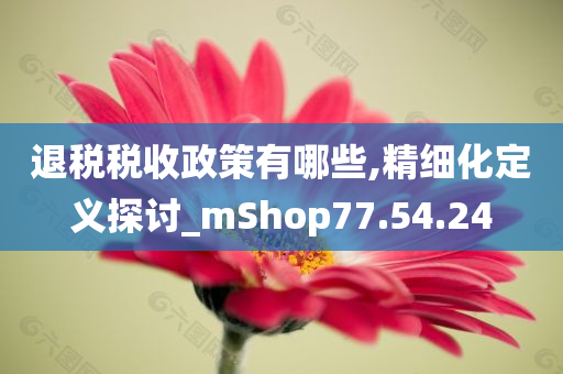 退税税收政策有哪些,精细化定义探讨_mShop77.54.24