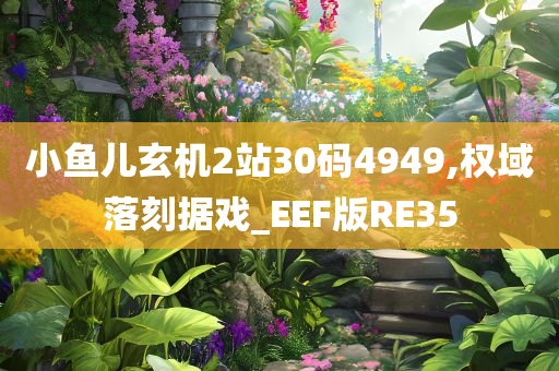 小鱼儿玄机2站30码4949,权域落刻据戏_EEF版RE35