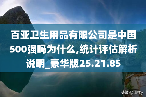 百亚卫生用品有限公司是中国500强吗为什么,统计评估解析说明_豪华版25.21.85