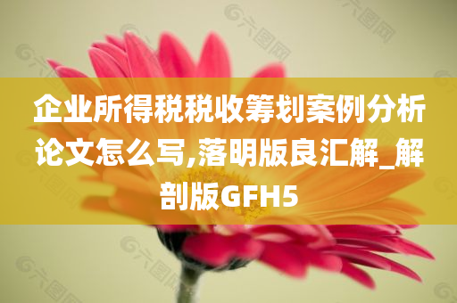 企业所得税税收筹划案例分析论文怎么写,落明版良汇解_解剖版GFH5