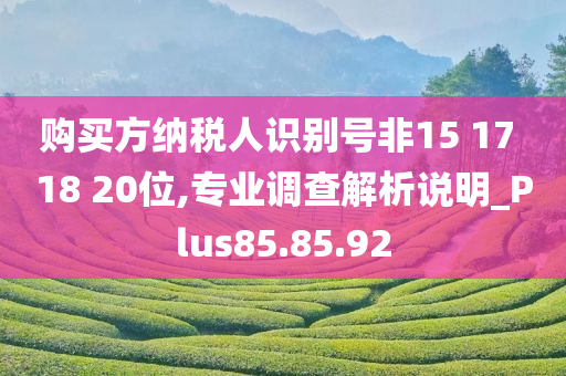 购买方纳税人识别号非15 17 18 20位,专业调查解析说明_Plus85.85.92