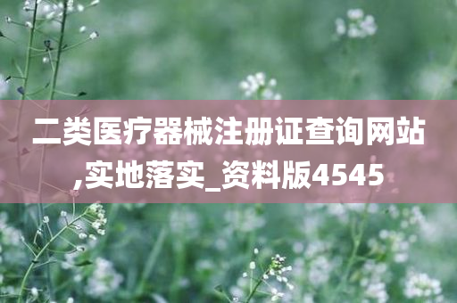 二类医疗器械注册证查询网站,实地落实_资料版4545