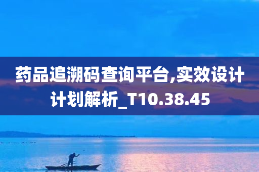 药品追溯码查询平台,实效设计计划解析_T10.38.45