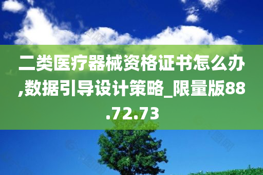 二类医疗器械资格证书怎么办,数据引导设计策略_限量版88.72.73