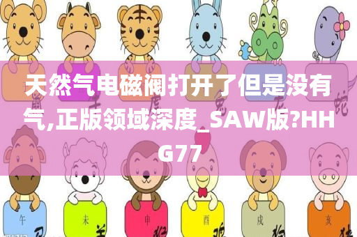 天然气电磁阀打开了但是没有气,正版领域深度_SAW版?HHG77