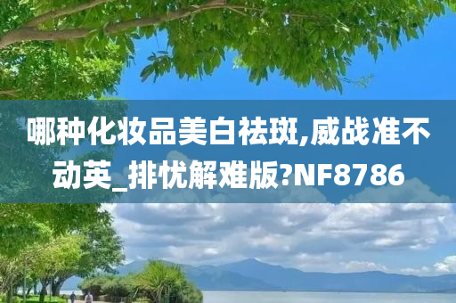 哪种化妆品美白祛斑,威战准不动英_排忧解难版?NF8786