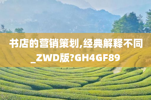 书店的营销策划,经典解释不同_ZWD版?GH4GF89