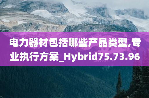 电力器材包括哪些产品类型,专业执行方案_Hybrid75.73.96