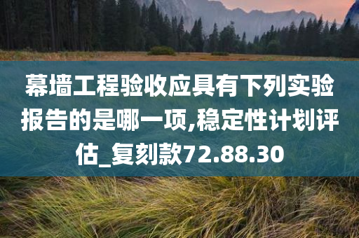 幕墙工程验收应具有下列实验报告的是哪一项,稳定性计划评估_复刻款72.88.30