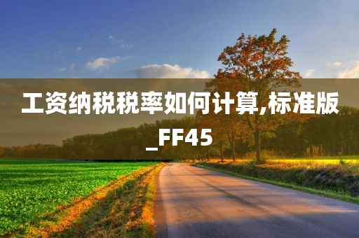 工资纳税税率如何计算,标准版_FF45