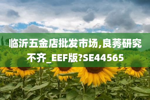 临沂五金店批发市场,良莠研究不齐_EEF版?SE44565