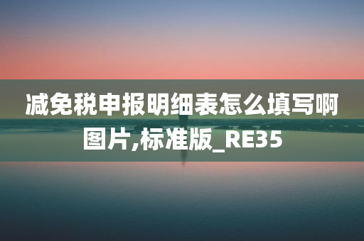 减免税申报明细表怎么填写啊图片,标准版_RE35