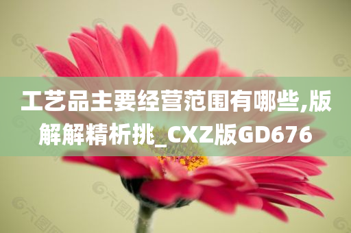 工艺品主要经营范围有哪些,版解解精析挑_CXZ版GD676