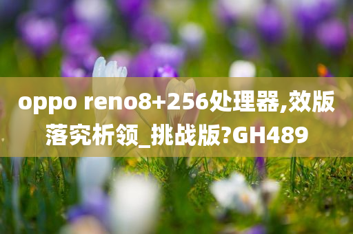 oppo reno8+256处理器,效版落究析领_挑战版?GH489