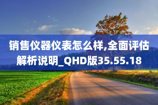 销售仪器仪表怎么样,全面评估解析说明_QHD版35.55.18