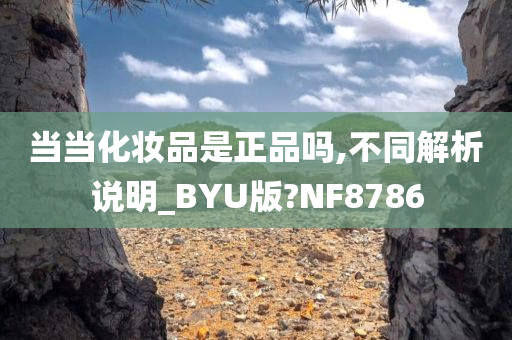 当当化妆品是正品吗,不同解析说明_BYU版?NF8786