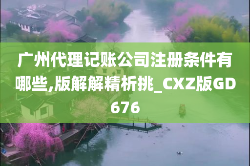 广州代理记账公司注册条件有哪些,版解解精析挑_CXZ版GD676