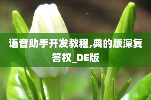 语音助手开发教程,典的版深复答权_DE版