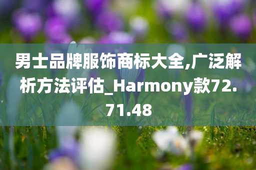 男士品牌服饰商标大全,广泛解析方法评估_Harmony款72.71.48