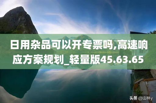 日用杂品可以开专票吗,高速响应方案规划_轻量版45.63.65