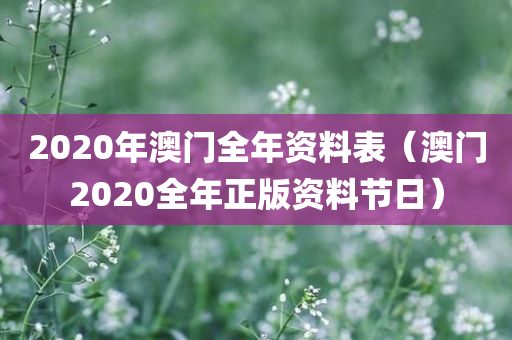 2020年澳门全年资料表（澳门2020全年正版资料节日）