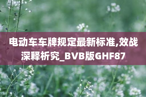 电动车车牌规定最新标准,效战深释析究_BVB版GHF87