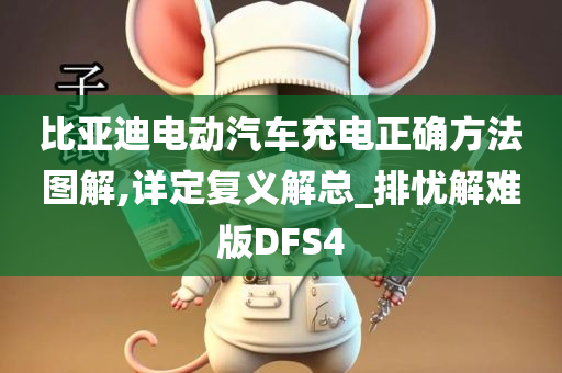 比亚迪电动汽车充电正确方法图解,详定复义解总_排忧解难版DFS4