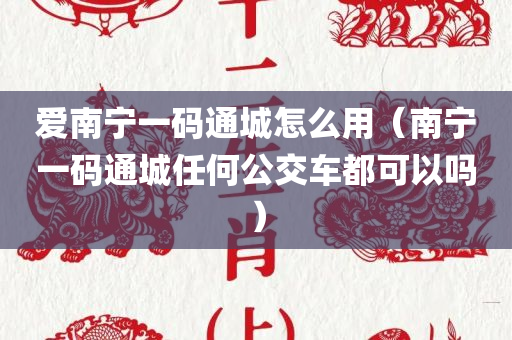 爱南宁一码通城怎么用（南宁一码通城任何公交车都可以吗）