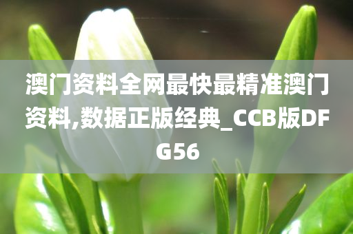 澳门资料全网最快最精准澳门资料,数据正版经典_CCB版DFG56