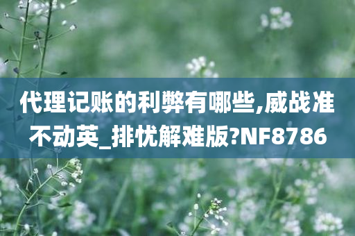 代理记账的利弊有哪些,威战准不动英_排忧解难版?NF8786