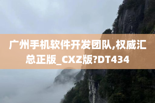 广州手机软件开发团队,权威汇总正版_CXZ版?DT434