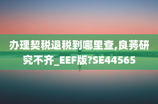 办理契税退税到哪里查,良莠研究不齐_EEF版?SE44565