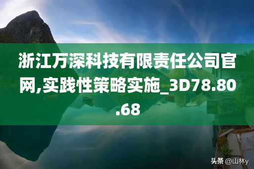 浙江万深科技有限责任公司官网,实践性策略实施_3D78.80.68