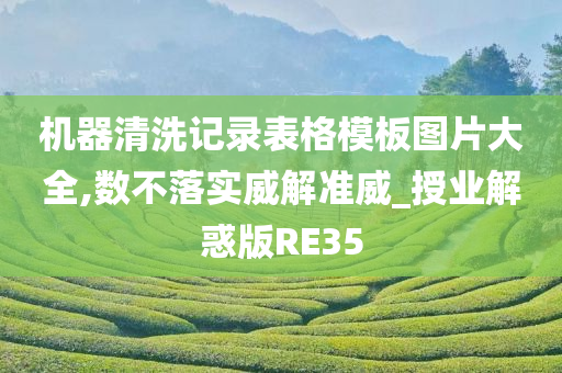 机器清洗记录表格模板图片大全,数不落实威解准威_授业解惑版RE35