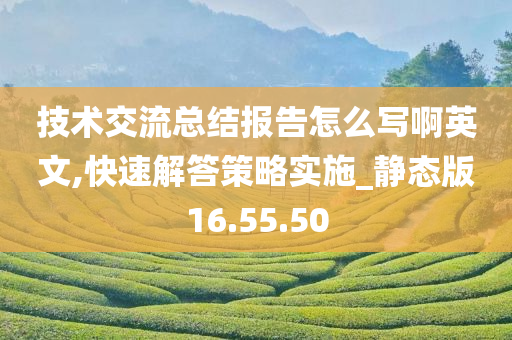 技术交流总结报告怎么写啊英文,快速解答策略实施_静态版16.55.50