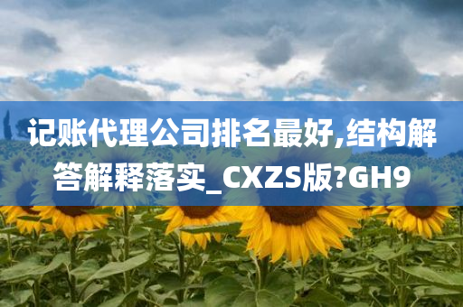 记账代理公司排名最好,结构解答解释落实_CXZS版?GH9