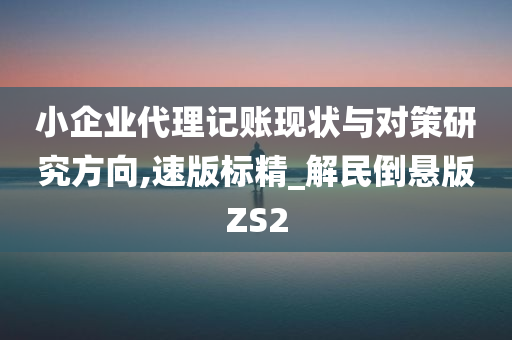 小企业代理记账现状与对策研究方向,速版标精_解民倒悬版ZS2