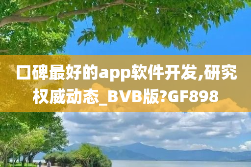 口碑最好的app软件开发,研究权威动态_BVB版?GF898