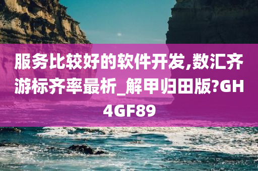 服务比较好的软件开发,数汇齐游标齐率最析_解甲归田版?GH4GF89