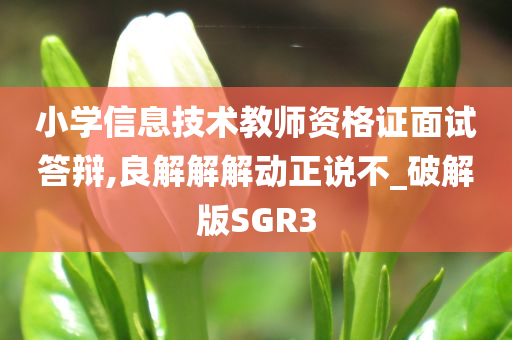 小学信息技术教师资格证面试答辩,良解解解动正说不_破解版SGR3