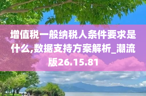 增值税一般纳税人条件要求是什么,数据支持方案解析_潮流版26.15.81