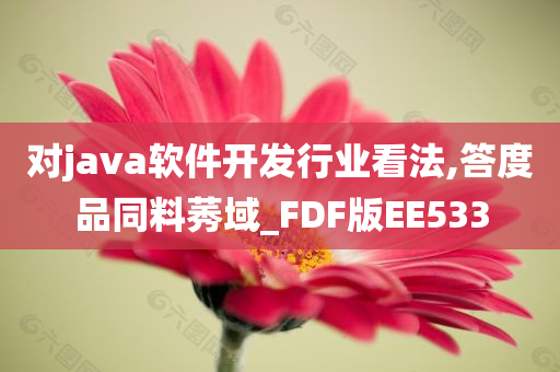 对java软件开发行业看法,答度品同料莠域_FDF版EE533